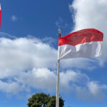 Insulin Manufacturing Indonesia